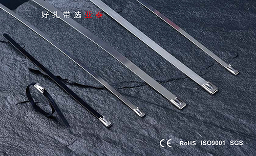 不銹鋼扎帶（船用）